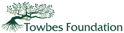 Towbes Foundation